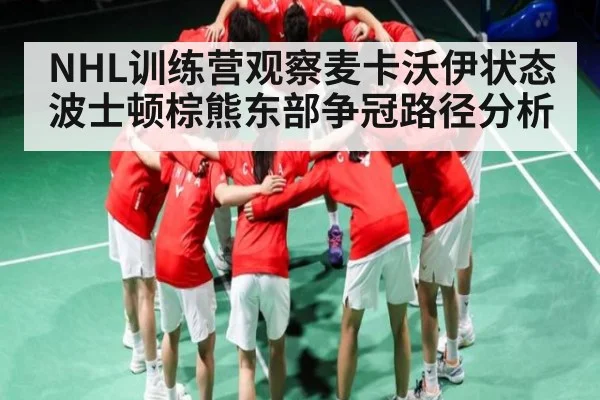 NHL训练营观察麦卡沃伊状态 波士顿棕熊东部争冠路径分析